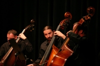 08-07-11-2014-fot-krzysztof-wojcik