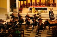 11-11-11-2014-fot-krzysztof-wojcik