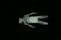 19-13-11-2014-fot-krzysztof-wojcik